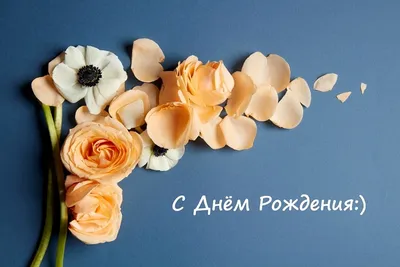 Нежные и любимые открытки с днем рождения девушке