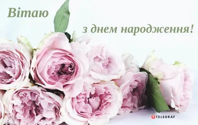 Красивая открытка с днем рождения девушке 23 года — Slide-Life.ru