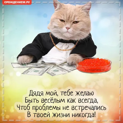 Смешная открытка Дяде с Днём Рождения, с котом и красной икрой • Аудио от  Путина, голосовые, музыкальные