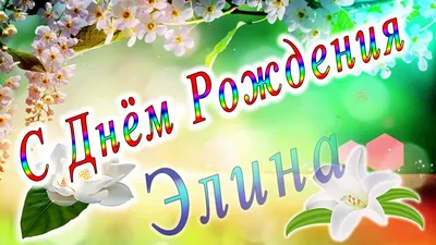 С днем рождения элина