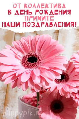 Поздравления с днем рождения женщине коллеге открытки и пожелания - Телеграф