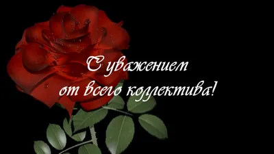 Пожелания с днем рождения коллеге женщине (62 фото) 🔥 Прикольные картинки  и юмор