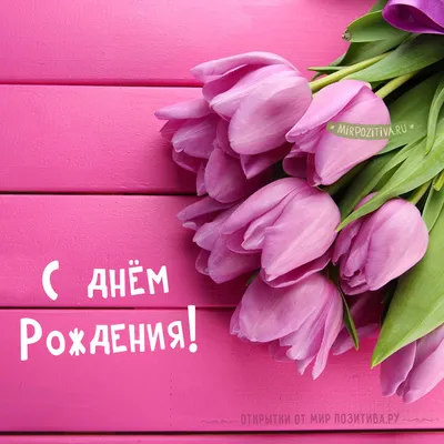 Красивые открытки женщине с Днем рождения (45 фото) | С днем рождения,  Открытки, Рождение