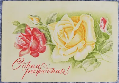 с днем рождения! красивые красные розы на фоне вид сверху Стоковое  Изображение - изображение насчитывающей наслаждение, цветки: 221790423
