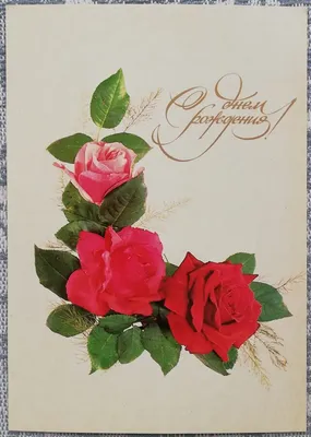 Красивые цветочные раскладки белого орхидеи, красные розы, натуральные  снежные ветви с текстом карты С днем рождения Стоковое Изображение -  изображение насчитывающей декоративно, украшение: 160583783