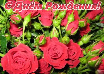 Красные розы с датой от 51 шт. за 11 290 руб. | Бесплатная доставка цветов  по Москве