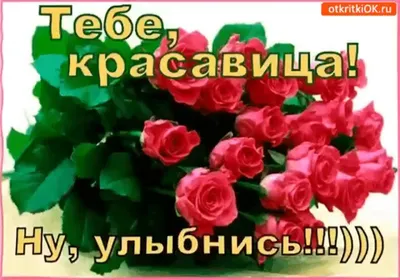 Принимай поздравления! Алые розы. — Скачайте на Davno.ru
