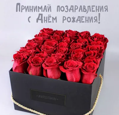 красные розы в черной коробке | С днем рождения, Рождение, Пожелания ко дню  рождения