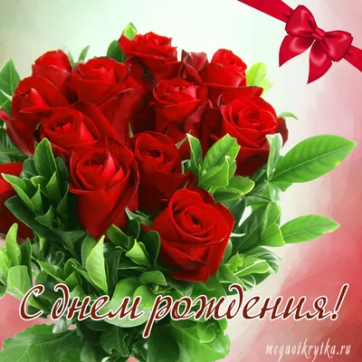 С днем рождения букет красных роз - красивые фото