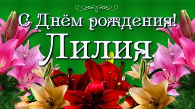 Поздравления с днем рождения Лиле - Газета по Одесски