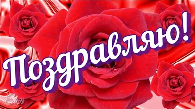 Иллюстрация 5 из 5 для С днем рождения, Гусь - Лора Уолл | Лабиринт -  книги. Источник: Савчук