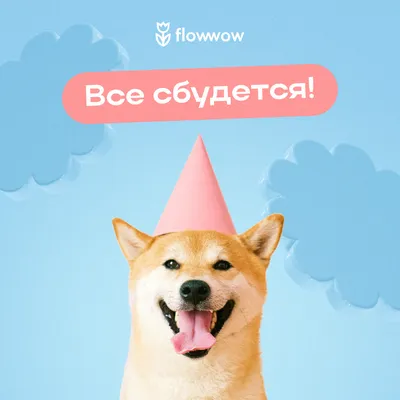 Открытка с днем рождения бесплатно - красивые картинки с днем рождения на  Flowwow