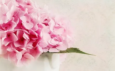 с днём рождения нежные букеты картинки: 2 тыс изображений найдено в  Яндекс.Картинках | Flowers bouquet gift, Flower arrangements diy, Flower  box gift