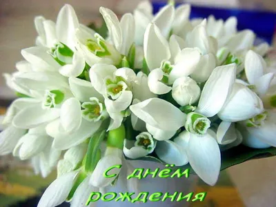 Уважаемая Римма Анатольевна! С Днем Рождения!