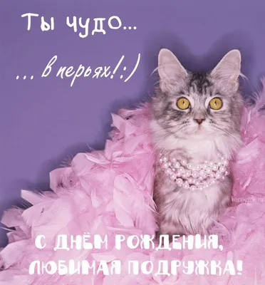 Юмористичная открытка с Днём Рождения с котиком и стихами • Аудио от  Путина, голосовые, музыкальные