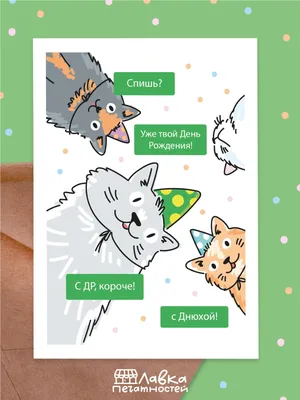 Кот с ромашками: открытки с днем рождения подруге - инстапик | С днем  рождения, Открытки, С днем рождения подруга