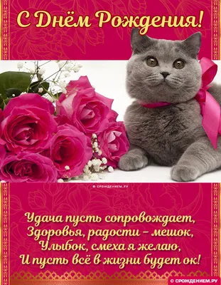 котенок в цветах - Танечка, С днем рождения! | С днем рождения, Сестренки,  Смешные поздравительные открытки