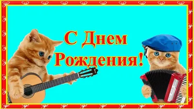 Отпадная открытка с Днём Рождения со смешным котом, шариком и пожеланием с  приколом • Аудио от Путина, голосовые, музыкальные