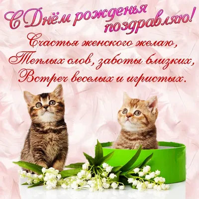 Пин от пользователя Kolesnichenko V на доске коты | Мемы, Смешные открытки, С  днем рождения кошки
