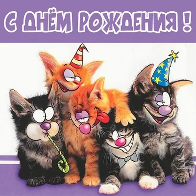 С Днем Рождения Картинки С Котами Смешные – Telegraph
