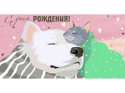 Открытка сыну с Днём Рождения с котом в сапогах • Аудио от Путина,  голосовые, музыкальные