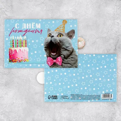 Картинка с днем рождения девушке - открытка с кошкой
