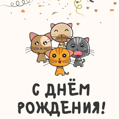 котик желает счатье Сергею | С днем рождения, Смешной счастливый, День  рождения