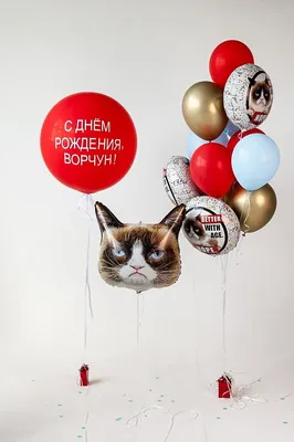 Открытки и прикольные картинки с днем рождения с котиками, котами и кошками