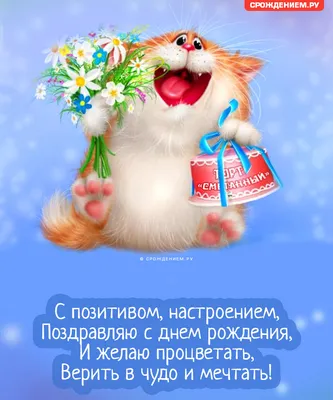 С днём рождения | Иллюстрация на день рождения, С днем рождения кошки, С  днем рождения