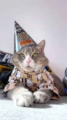 Шарик с Днем рождения (котики)