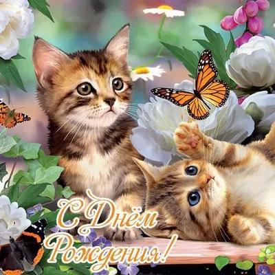 Поздравительная открытка с днем рождения с котиками (скачать бесплатно)