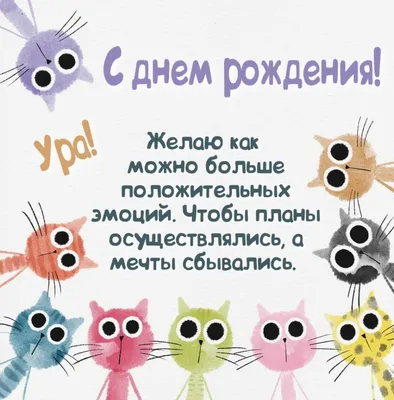 Котобоссы | С Днем Рождения, кот | Дзен