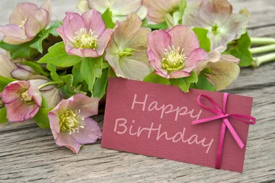 Стильные цветы: открытки с днем рождения - инстапик | С днем рождения,  Поздравительные открытки, Открытки