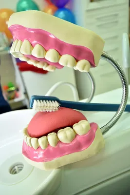 Скидка на стоматологию в день рождения именинникам в Санкт-Петербурге в  клинике | \"Моя Стоматология\"