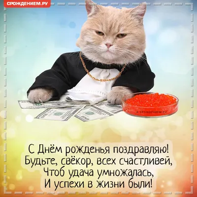 Прикольная открытка Свёкру с Днём рождения, с котом • Аудио от Путина,  голосовые, музыкальные