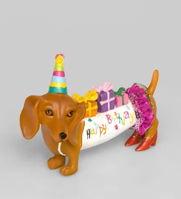 С Днем Рождения Собака — стоковые фотографии и другие картинки Такса - Такса,  День рождения, Собака - iStock