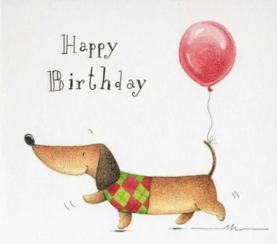 3шт набор открыток с таксой с днем рождения такса с собакой Мохнатый Гав  64193619 купить в интернет-магазине Wildberries