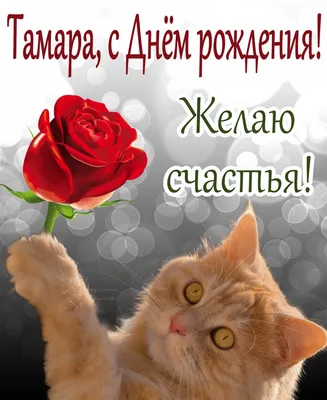 Картинка с поздравлением с днем рождения Тамаре - поздравляйте бесплатно на  otkritochka.net