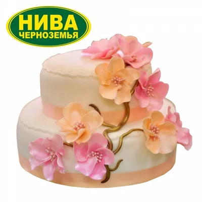 Торт \"Нежные цветы\" № 8123 на заказ в Санкт-Петербурге