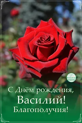 С днём рождения, Василий! - Новости клуба - официальный сайт ХК «Металлург»  (Магнитогорск)