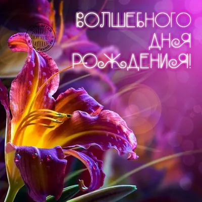 волшебное | Birthday images, Cool photos, Holiday cards