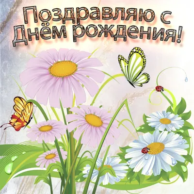 Букет из 11 веточек ромашки - заказать и купить цветы с доставкой | Donpion