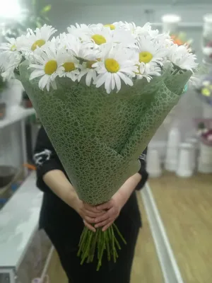 Купить Букет цветов \"Ромашки для Неё\" в Москве недорого с доставкой