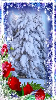 МИР ПОЗДРАВЛЕНИЙ | С днём рождения зимой! #красивоепоздравление  #видеопоздравления | Дзен