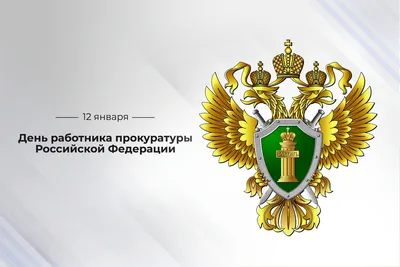 Мэр Сочи поздравил всех причастных с Днем образования Следственного комитета  Российской Федерации • TOP24 • Сочи