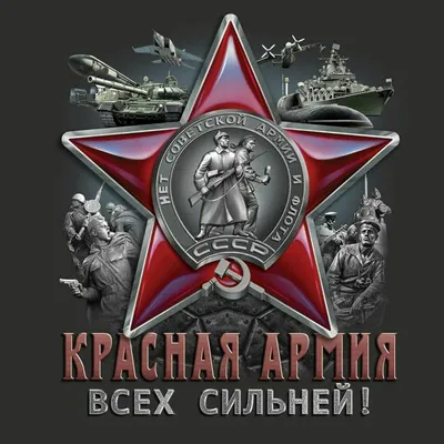 Севастопольцев поздравили с «днем советской армии» (+фото)