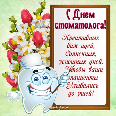 9 февраля отмечается Международный день стоматолога: история, традиции,  поздравления, открытки » Информационно аналитический портал «Эхо Недели»