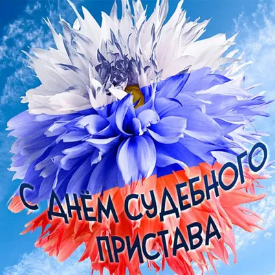 Евгений Гриненко поздравляет с праздником гуковских судебных приставов |  Звезда Шахтера