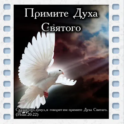 Красивая открытка с белым голубем и иконой на День Духа