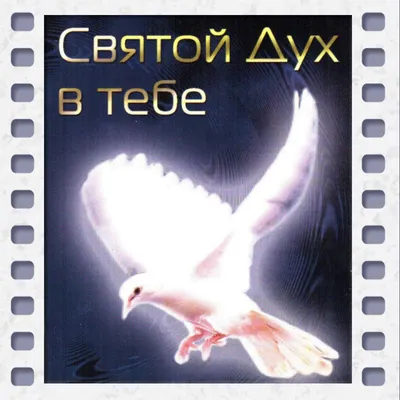 открытки с днем святого духа｜Поиск в TikTok